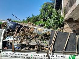 Best Moving and Downsizing Cleanouts  in Ridgway, CO